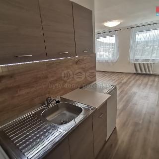 Pronájem bytu 1+kk a garsoniéry 32 m² Ústí nad Labem, Vinařská