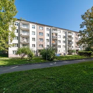 Pronájem bytu 3+1 61 m² Olomouc, Dělnická