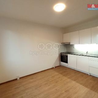 Pronájem bytu 2+kk 36 m² Louny, Petra Obrovce