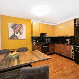 Pronájem bytu 1+kk a garsoniéry 44 m² Zbůch, Brigádnická