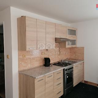 Pronájem bytu 1+kk a garsoniéry 25 m² Sedliště