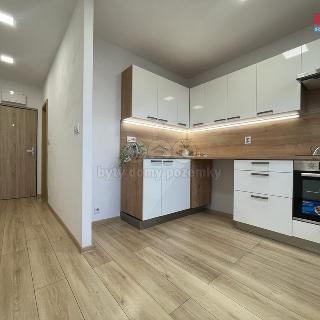 Pronájem bytu 1+1 37 m² Ostrava, Výškovická