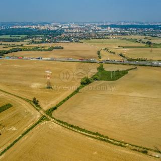 Prodej zemědělské půdy Zlatníky-Hodkovice