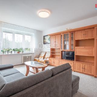 Prodej bytu 2+1 48 m² Havířov, Okrajová