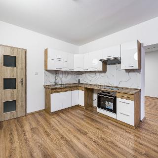 Pronájem bytu 1+1 55 m² Chlumec