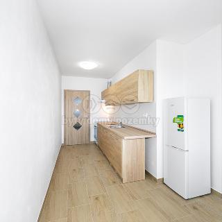 Pronájem bytu 3+kk 45 m² Dnešice