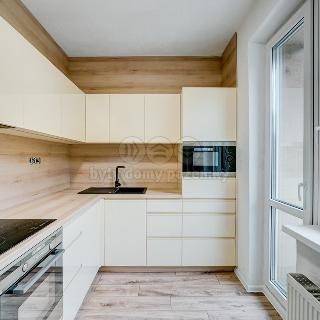 Pronájem bytu 2+1 52 m² Ústí nad Labem, Důlce