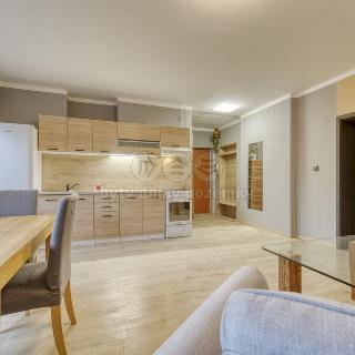 Pronájem bytu 2+kk 53 m² Plzeň, Masarykova