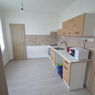 Pronájem bytu 1+1 48 m² Stráž pod Ralskem