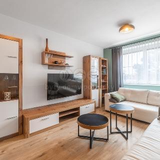 Prodej bytu 2+1 54 m² Uherský Brod, V. Růžičky