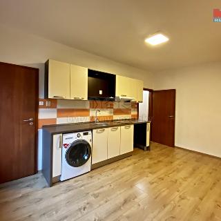 Pronájem bytu 1+kk a garsoniéry 22 m² Most, Zdeňka Fibicha