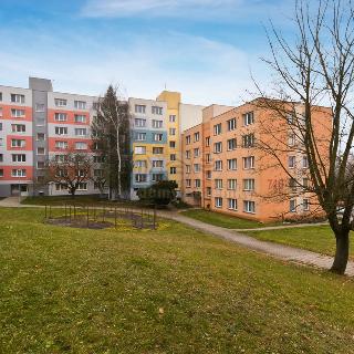 Prodej bytu 1+1 41 m² Jindřichův Hradec, sídliště Vajgar