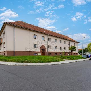 Pronájem bytu 3+1 76 m² Březová, Smetanova