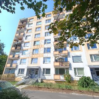 Pronájem bytu 1+kk a garsoniéry 20 m² Děčín, Kamenická