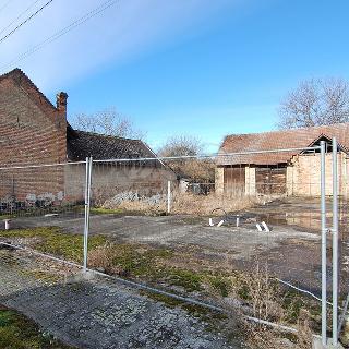 Prodej stavební parcely Kožušice, Kožušice