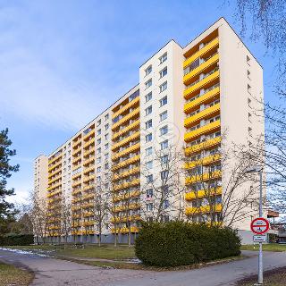 Prodej bytu 2+1 80 m² Hradec Králové, třída Edvarda Beneše