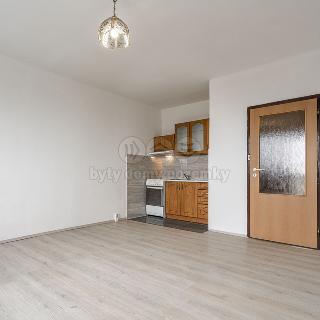 Pronájem bytu 2+kk 41 m² Česká Lípa, Sluneční