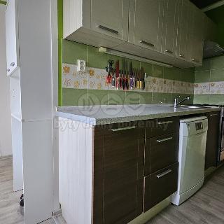 Prodej bytu 2+1 60 m² Písek