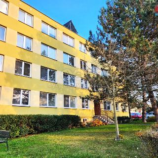 Prodej bytu 1+kk a garsoniéry 33 m² Louny, Lipová