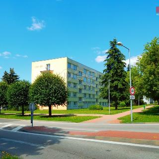 Pronájem bytu 2+1 64 m² Pelhřimov, Pražská