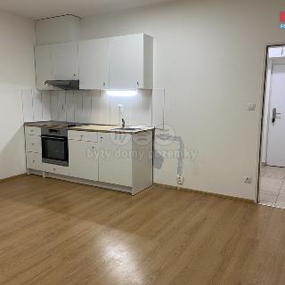 Pronájem bytu 1+kk a garsoniéry 32 m² Plzeň, Technická