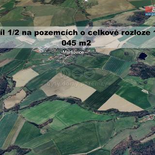 Prodej zemědělské půdy Maršovice