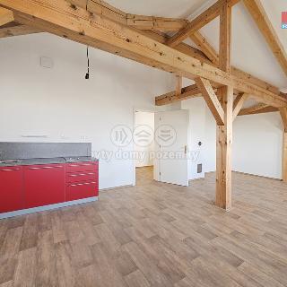 Pronájem bytu 1+kk a garsoniéry 47 m² Studeněves