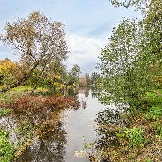 Prodej rodinného domu 50 m² Poběžovice, Masarykova