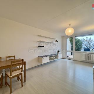 Pronájem bytu 2+kk 50 m² Praha, Přádova