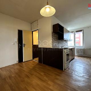 Prodej bytu 3+1 69 m² Vintířov