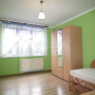 Pronájem bytu 3+1 76 m² Ostrov, Kollárova