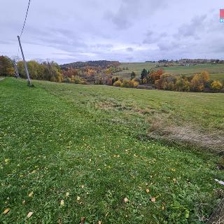 Prodej louky 1787 m² Hynčina