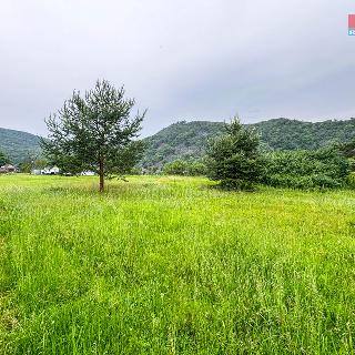 Pronájem louky Ústí nad Labem