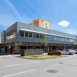 Pronájem kanceláře 265 m² Mladá Boleslav, U stadionu