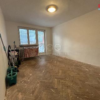 Prodej bytu 3+1 77 m² Kněžice