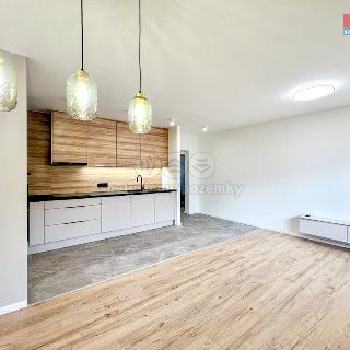 Prodej bytu 3+kk 80 m² Ostrava