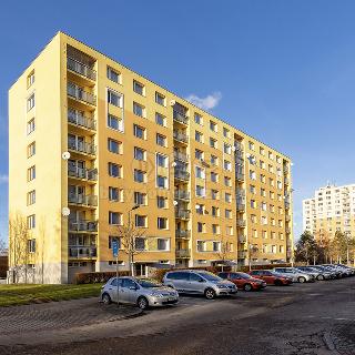 Prodej bytu 1+1 38 m² Pardubice, Luďka Matury