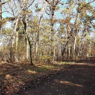 Prodej stavební parcely Hradištko, Kersko