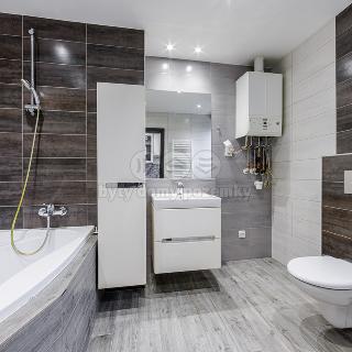 Prodej bytu 2+kk 42 m² Březová, Okružní