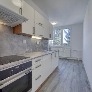 Pronájem bytu 3+1 76 m² Kralovice, Liliová