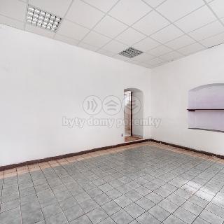 Prodej rodinného domu 220 m² Velké Opatovice, Horensko