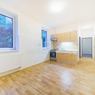 Pronájem bytu 2+kk 32 m² Aš, Saská