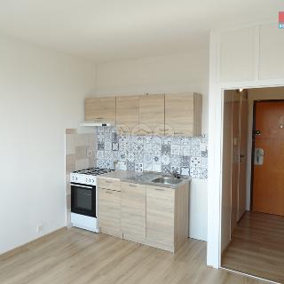 Pronájem bytu 1+1 35 m² Jirkov, Pionýrů