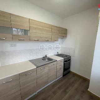 Pronájem bytu 2+1 50 m² Žatec, Podměstí