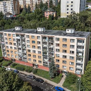 Pronájem bytu 1+1 35 m² Děčín, Na Pěšině