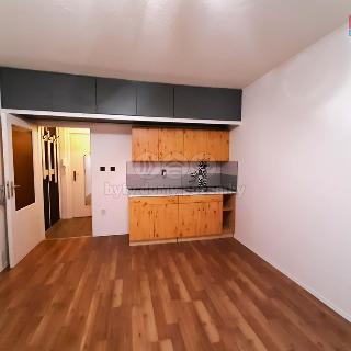 Prodej bytu 1+kk a garsoniéry 21 m² Moravský Beroun, Partyzánská