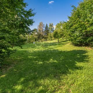 Prodej stavební parcely Žandov