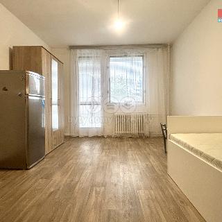 Pronájem bytu 1+kk a garsoniéry 30 m² Kostelec nad Orlicí, Proškova