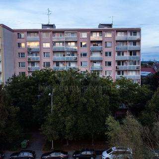 Prodej bytu 2+1 62 m² Olomouc, U cukrovaru