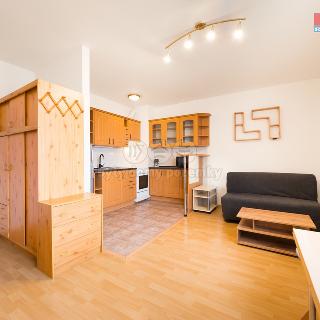 Pronájem bytu 1+kk a garsoniéry 29 m² Praha, Kašparovo náměstí